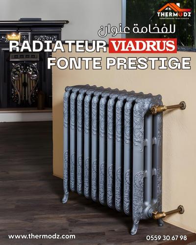 RADIATEUR FONTE VIADRUS ELEGENCE GRIS
