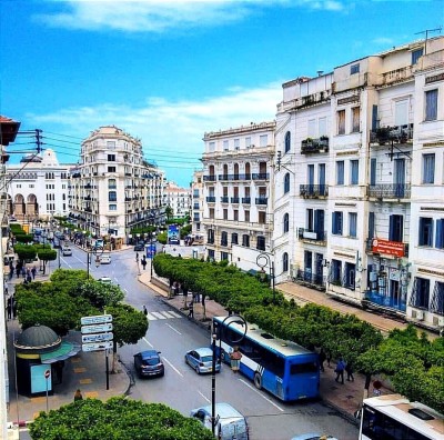 Location Local Alger Alger centre
