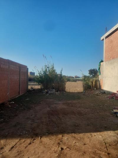 Vente Terrain Boumerdès Zemmouri