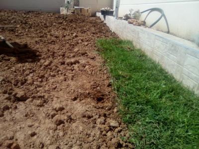 jardinage-amenagement-d-espace-vert-gazon-naturel-et-plantes-azazga-tizi-ouzou-algerie