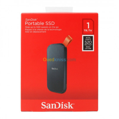 RACK SSD EXTERNE 1T Sandisk 