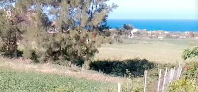 Vente Terrain Tizi Ouzou Azeffoun