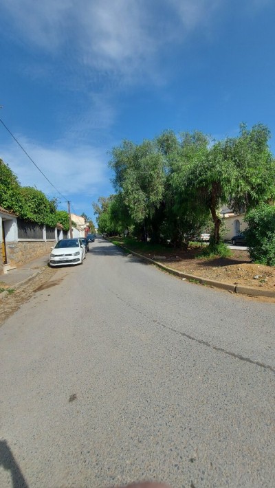 Sell Villa Alger Bouzareah