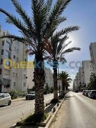 كراء شقة 3 غرف الجزائر بابا حسن