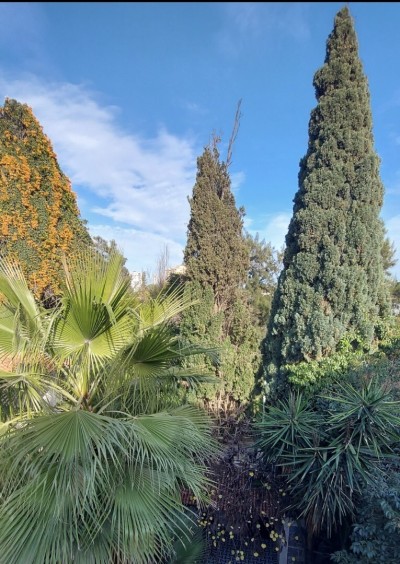 Sell Villa Alger Hydra