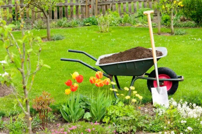 jardinage, Jardinier À Domicile Entreprise De Nettoyage, بستاني حدائق 