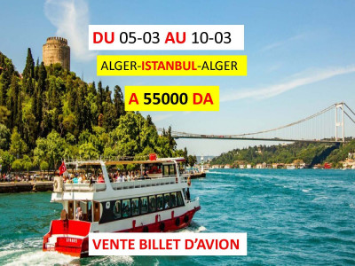 VENTE BILLET D'AVION ALGER-ISTANBUL A 55000 DA 