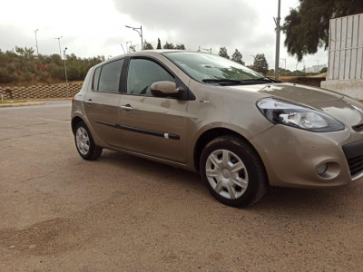 voitures-renault-clio-3-2010-exception-les-eucalyptus-alger-algerie