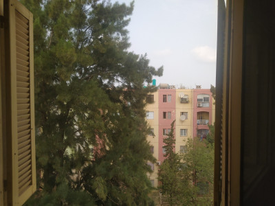 Rent Apartment F3 Blida Ouled yaich