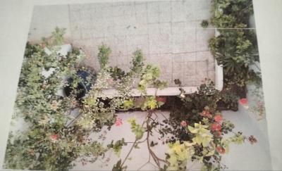 Sell Villa Blida Boufarik