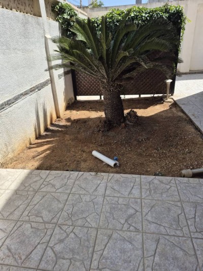 Location Appartement Duplex F5 Alger Dely brahim