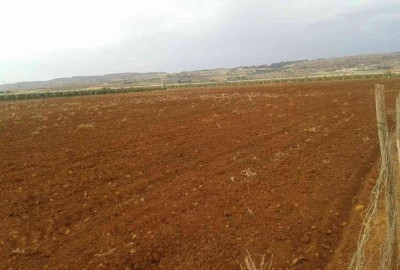 terrain-agricole-vente-oran-algerie