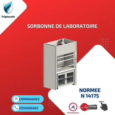 industrie-fabrication-sorbonne-de-laboratoire-ouled-fayet-alger-algerie