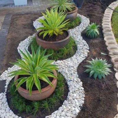 nettoyage-jardinage-societe-damenagement-des-espaces-verts-et-entretien-desinfection-batna-algerie