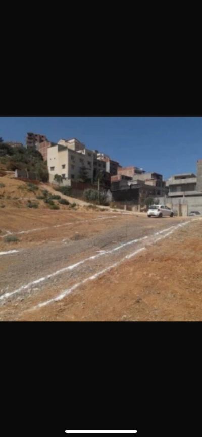 Vente Terrain Alger Saoula