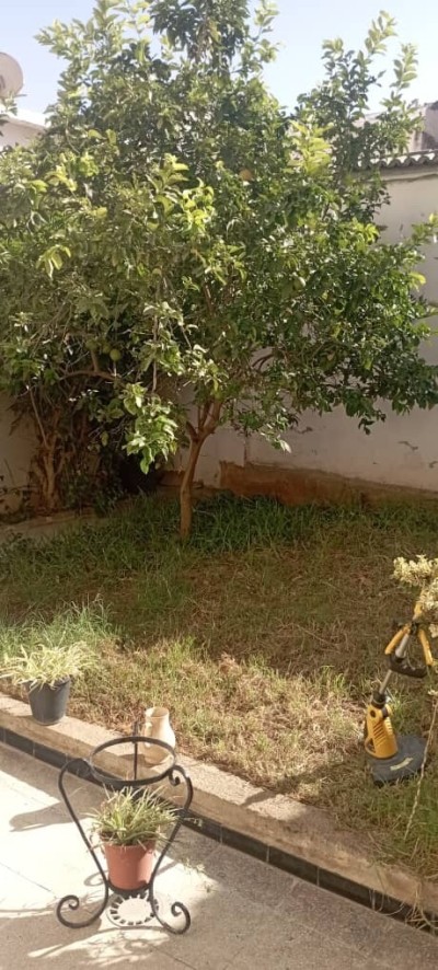 Rent Apartment F2 Alger Hydra