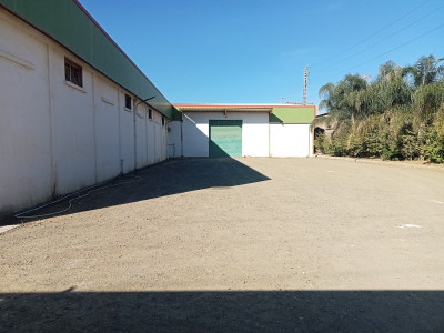 hangar-location-blida-boufarik-algerie