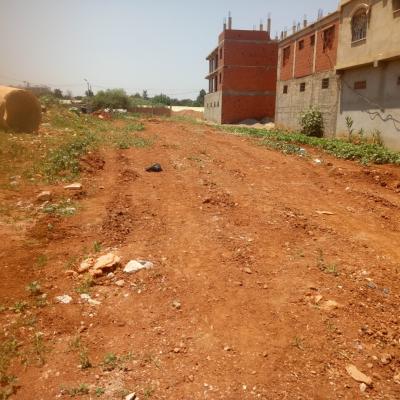 Vente Terrain Tipaza Fouka