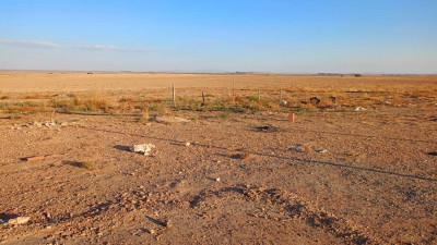 terrain-agricole-vente-djelfa-benhar-algerie