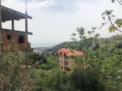 Vente Terrain Alger Bouzareah