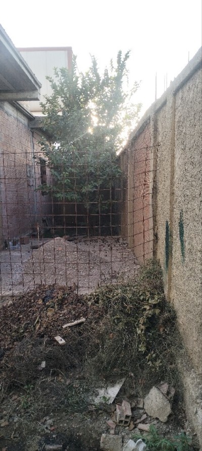 Vente Terrain Jijel El aouana