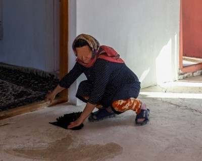 nettoyage-jardinage-femme-de-menage-service-dz-alger-centre-algerie