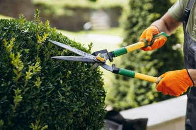 Aménagement des espaces verts, entreprise de jardinage et nettoyage Alger, jardinier pimpenière