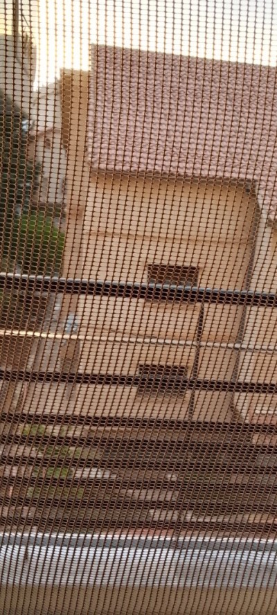 Sell Apartment F4 Alger Ouled fayet