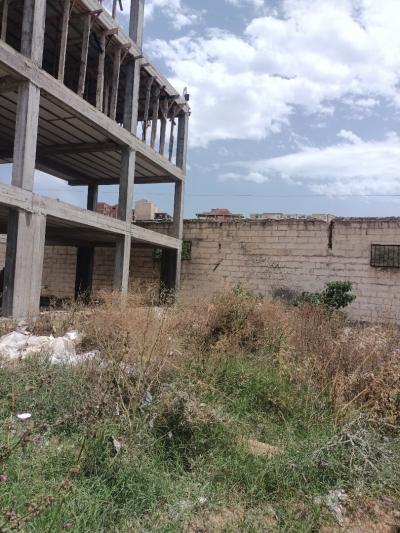 Sell Land Tipaza Kolea