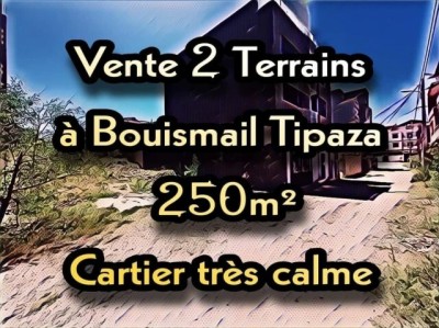 Vente Terrain Tipaza Bou ismail