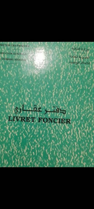 Sell Land Tipaza Khemisti