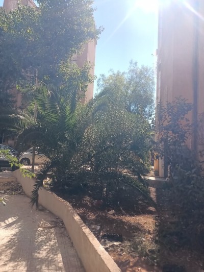 Vente Appartement F3 Tipaza Fouka