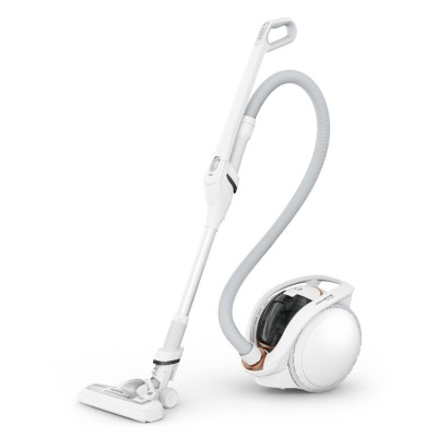 Rowenta Aspirateur Sans Sac Sans Fil - Ix7777Ea - Blanc