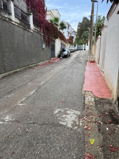 Location Local Alger Dely brahim