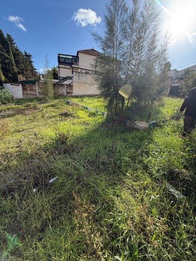 Vente Terrain Alger Cheraga