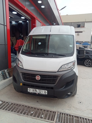 fourgon-fiat-ducato-2021-algerie