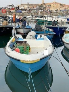 bateaux-rigide-canota-5m-50-tipaza-algerie