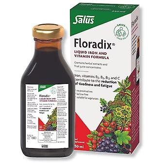Floradix Liquide Fer & Vitamines - 250 ml