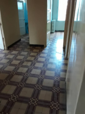 appartement-location-f4-constantine-algerie