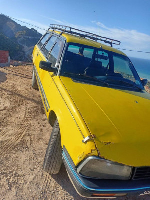 berline-peugeot-505-1989-messelmoun-tipaza-algerie