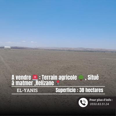 Sell Farmland Relizane Relizane