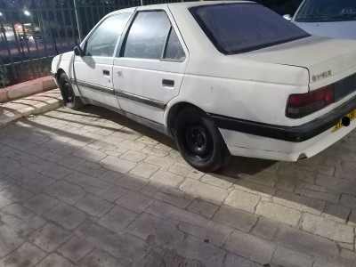 voitures-peugeot-405-1990-ain-taya-alger-algerie