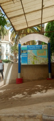 Location Local Alger Alger centre
