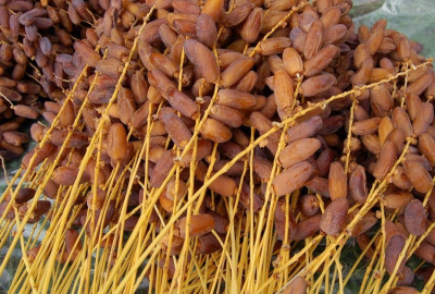 fruits-legumes-dattes-en-gros-rouiba-alger-algerie