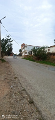 terrain-vente-boumerdes-larbatache-algerie