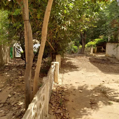 Vente Villa Alger El mouradia