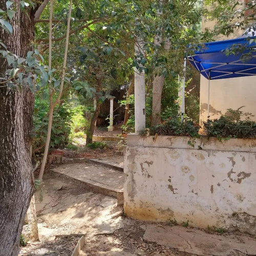 Vente Villa Alger El mouradia