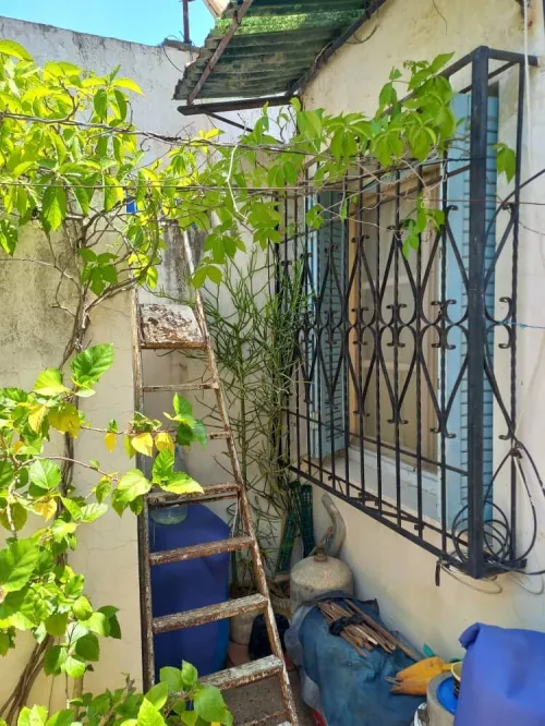 Grille en fer pour fenêtre (x1) et porte fenêtre (x2)