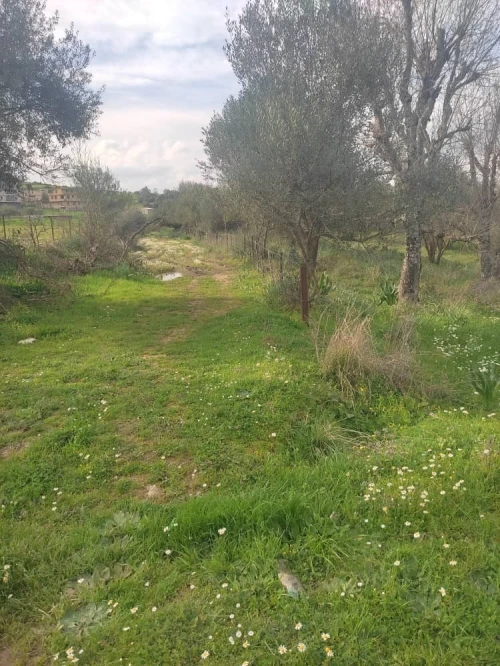 Vente Terrain Tizi ouzou Souamaa