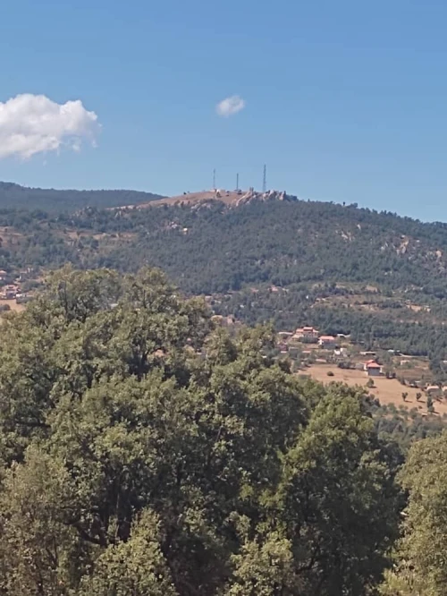 Vente Terrain Tizi Ouzou Azazga